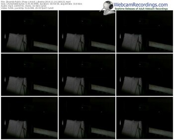 zbiornik-aniol_i_bestia-webcam-show-11_16_2016-18_01_21