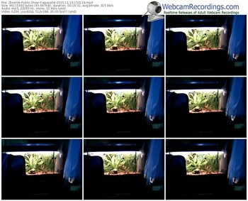 zbiornik-agusia54-webcam-show-11_16_2016-15_01_18