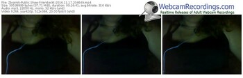 zbiornik-versteckt-webcam-show-11_17_2016-20_46_49