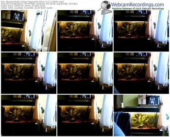 zbiornik-agusia54-webcam-show-11_17_2016-12_56_41
