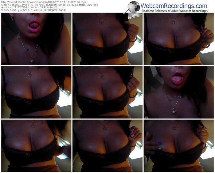 zbiornik-brunecia2828-webcam-show-11_17_2016-08_51_36