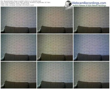 zbiornik-carllatv-webcam-show-11_17_2016-16_16_44