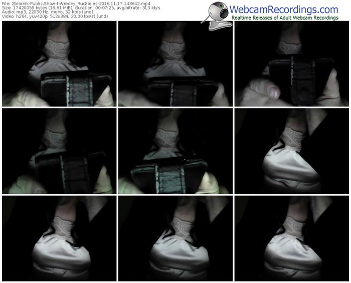 zbiornik-wredny_rudzielec-webcam-show-11_17_2016-14_36_42