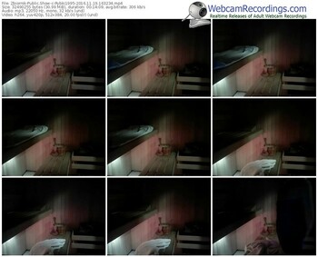 zbiornik-rybki1995-webcam-show-11_19_2016-16_32_34