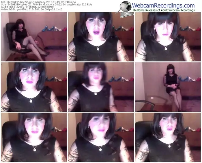 zbiornik-mauseey-webcam-show-11_19_2016-22_17_40