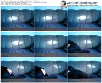 zbiornik-parkagiant-webcam-show-11_20_2016-10_47_54