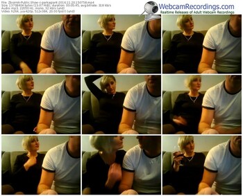 zbiornik-parkagiant-webcam-show-11_20_2016-15_07_58