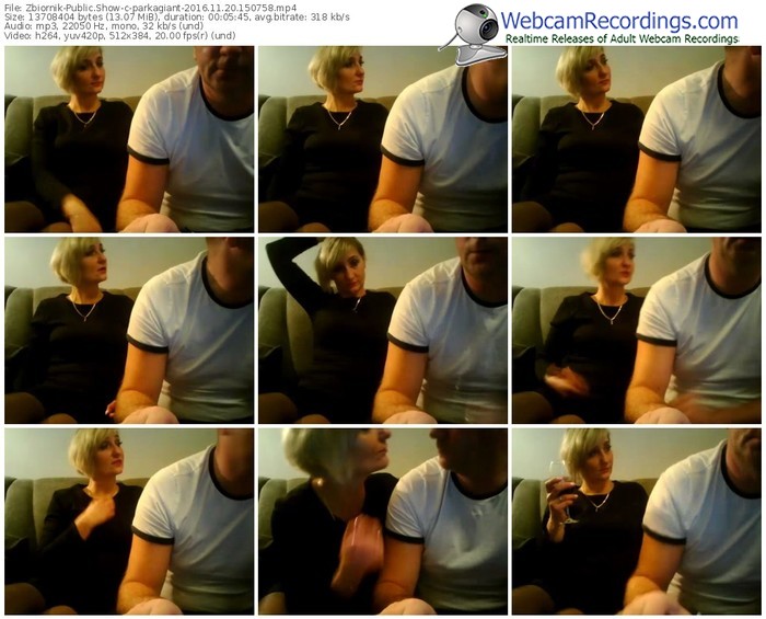 zbiornik-parkagiant-webcam-show-11_20_2016-15_07_58