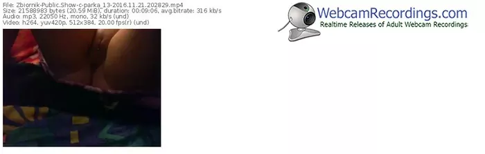 zbiornik-parka_13-webcam-show-11_21_2016-20_28_29