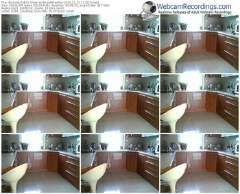 zbiornik-brunetmacpoz-webcam-show-11_21_2016-11_33_19