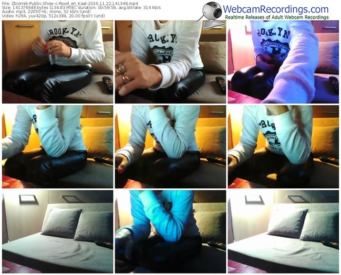 zbiornik-rood_en_kaal-webcam-show-11_22_2016-14_13_48