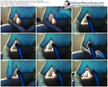 zbiornik-rood_en_kaal-webcam-show-11_22_2016-17_48_56