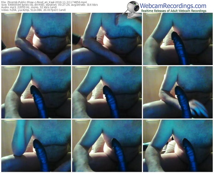 zbiornik-rood_en_kaal-webcam-show-11_22_2016-17_48_56