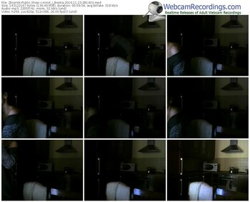 zbiornik-aniol_i_bestia-webcam-show-11_23_2016-08_14_03