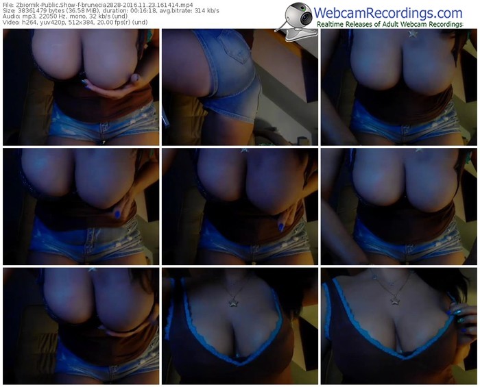 zbiornik-brunecia2828-webcam-show-11_23_2016-16_14_14