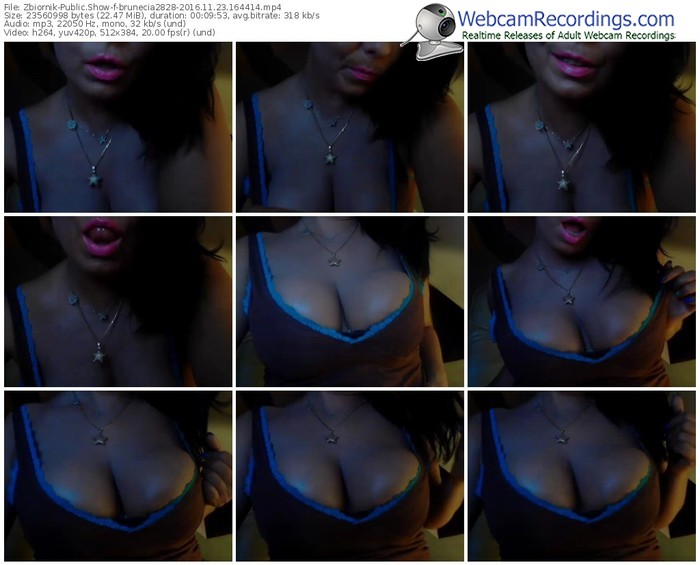 zbiornik-brunecia2828-webcam-show-11_23_2016-16_44_14
