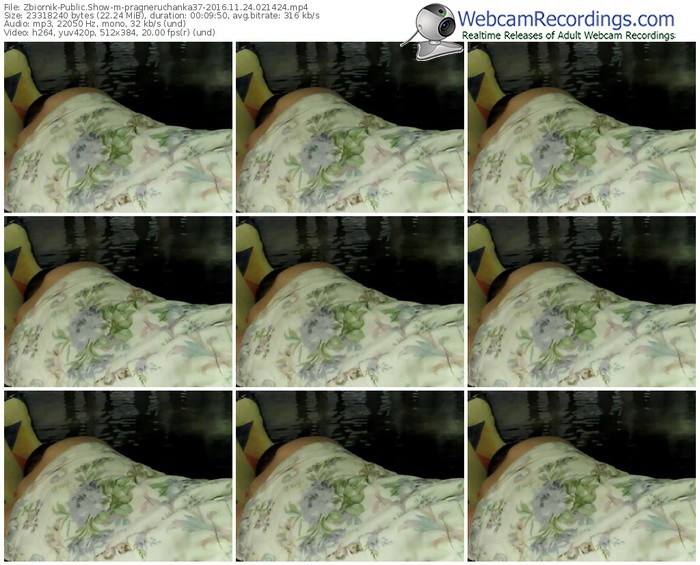 zbiornik-pragneruchanka37-webcam-show-11_24_2016-02_14_24