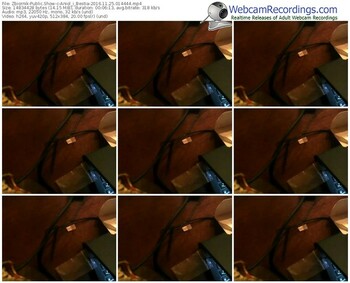 zbiornik-aniol_i_bestia-webcam-show-11_25_2016-01_44_44