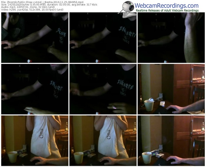 zbiornik-aniol_i_bestia-webcam-show-11_25_2016-08_49_56