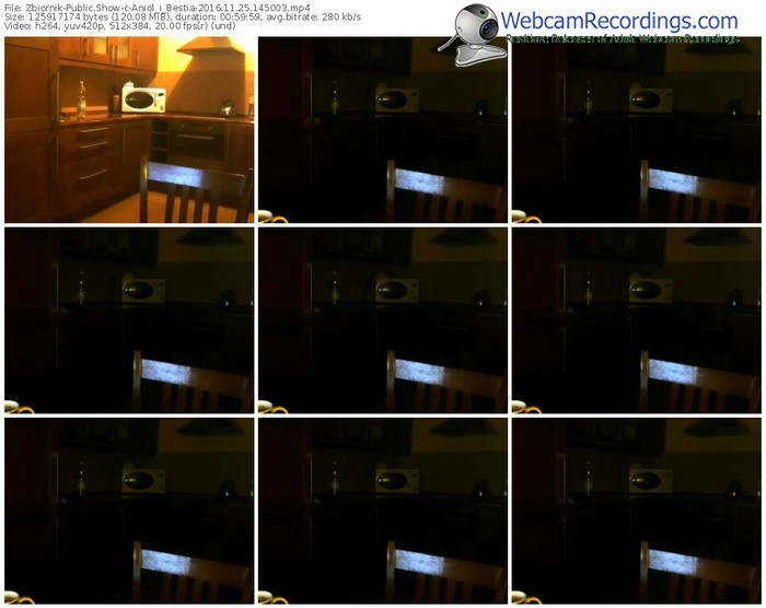 zbiornik-aniol_i_bestia-webcam-show-11_25_2016-14_50_03