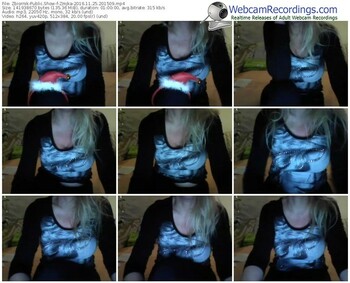 zbiornik-zmjka-webcam-show-11_25_2016-20_15_09