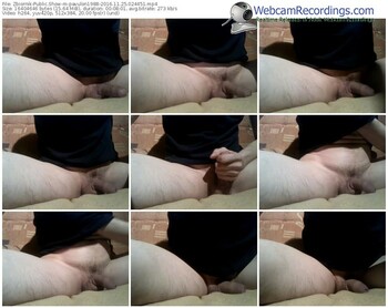 zbiornik-pavulon1988-webcam-show-11_25_2016-02_44_51