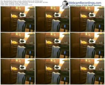 zbiornik-aniol_i_bestia-webcam-show-11_26_2016-15_45_20