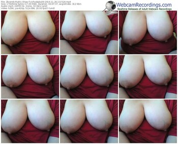 zbiornik-cichodajka39-webcam-show-11_26_2016-11_15_24