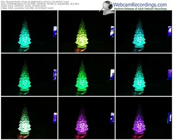 zbiornik-adekchetny-webcam-show-11_26_2016-04_25_17