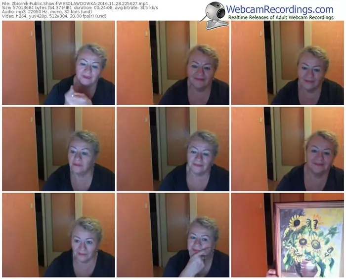 zbiornik-wesolawdowka-webcam-show-11_28_2016-22_56_27