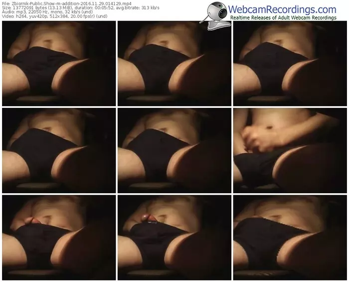 zbiornik-addition-webcam-show-11_29_2016-01_41_29