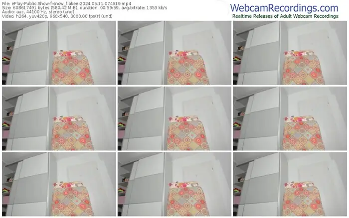 eplay-snow_flakee-05-11-2024-07-46-19