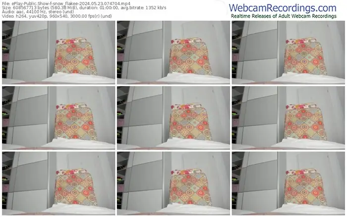 eplay-snow_flakee-05-23-2024-07-47-04