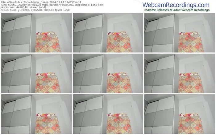 eplay-snow_flakee-03-14-2024-08-47-52