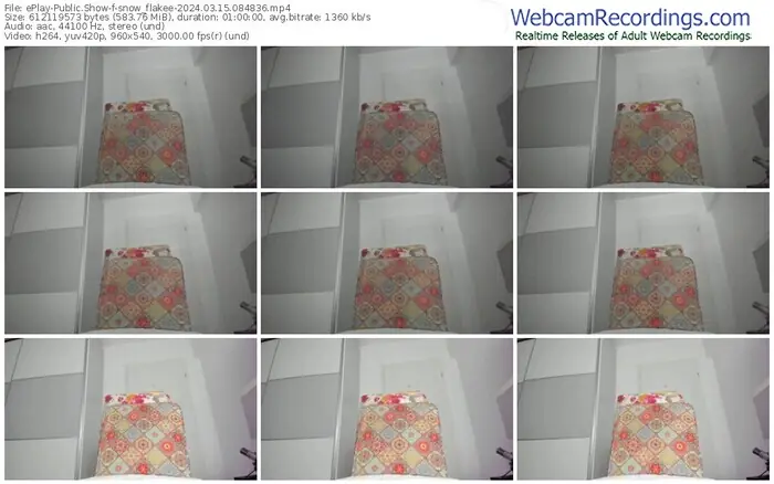 eplay-snow_flakee-03-15-2024-08-48-36