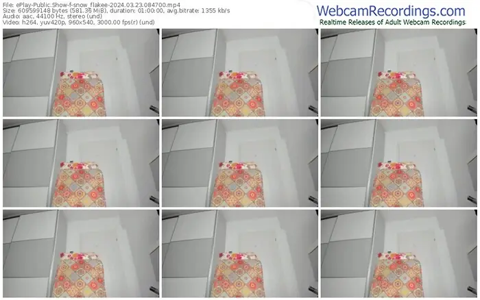 eplay-snow_flakee-03-23-2024-08-47-00