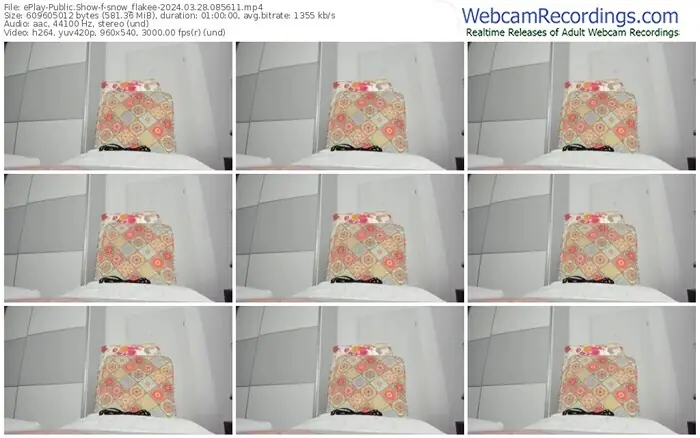 eplay-snow_flakee-03-28-2024-08-56-11