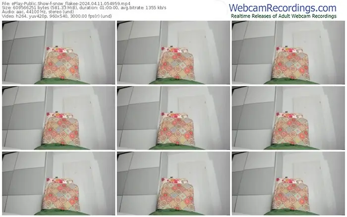 eplay-snow_flakee-04-11-2024-05-49-59