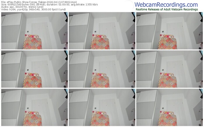 eplay-snow_flakee-04-13-2024-07-49-02