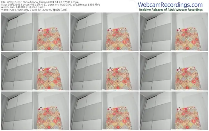 eplay-snow_flakee-04-20-2024-07-53-17