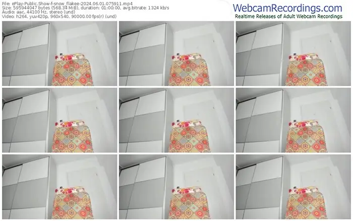 eplay-snow_flakee-06-01-2024-07-59-11