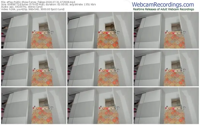 eplay-snow_flakee-07-31-2024-07-29-08