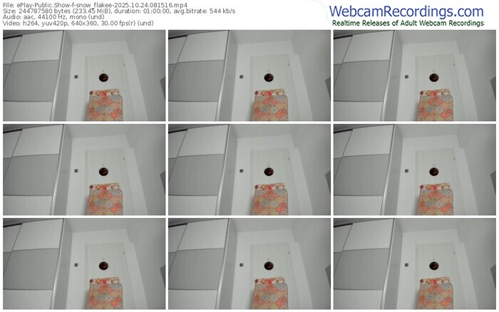 eplay-snow_flakee-10-24-2025-08-15-16