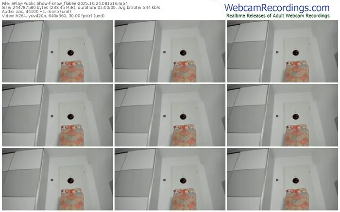 eplay-snow_flakee-10-24-2025-08-15-16