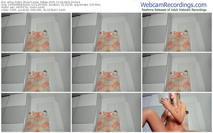 eplay-snow_flakee-10-26-2025-08-31-20