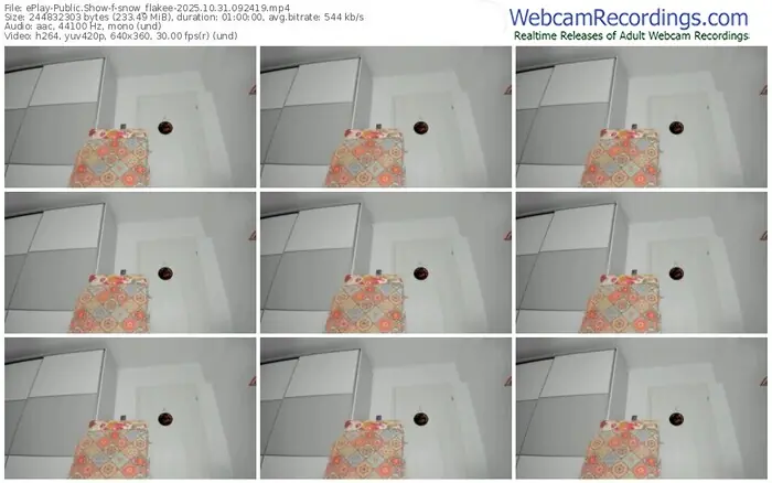 eplay-snow_flakee-10-31-2025-09-24-19