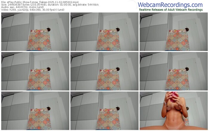 eplay-snow_flakee-11-02-2025-08-53-02