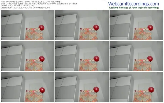 eplay-snow_flakee-11-30-2025-08-36-29