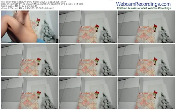 eplay-snow_flakee-12-21-2025-08-22-51