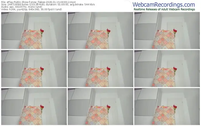 eplay-snow_flakee-01-10-2026-09-33-12